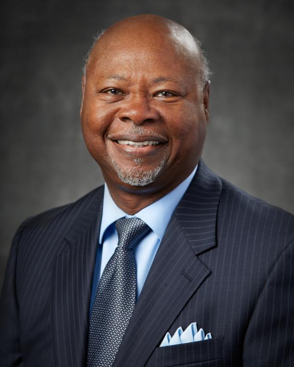 James R. Gavin III, M.D., Ph.D., Chief Executive Officer and Chief Medical Officer, Healing Our Village, Inc.